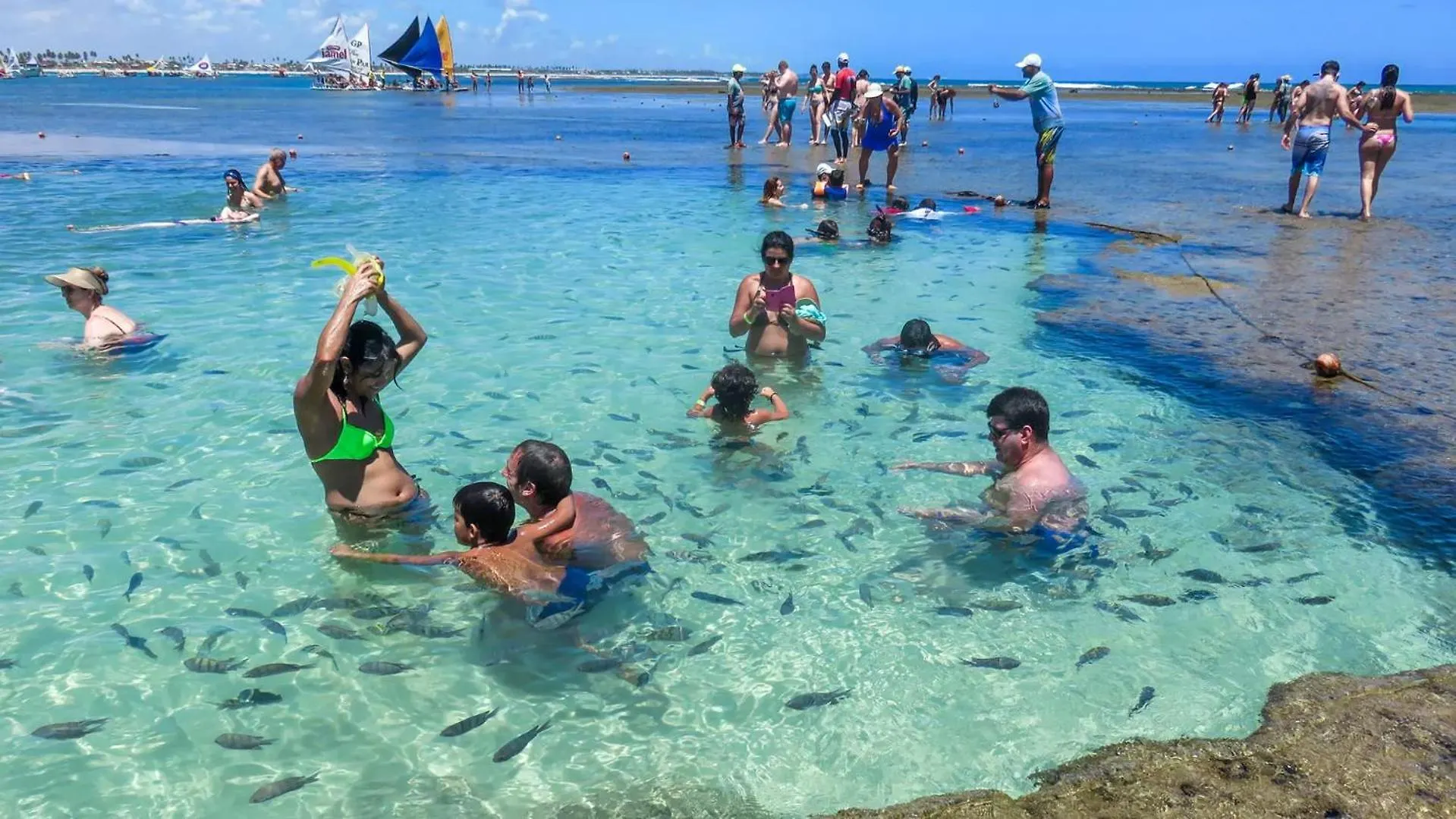 Flat N4 Porto De Galinhas C Piscina Daire Brezilya